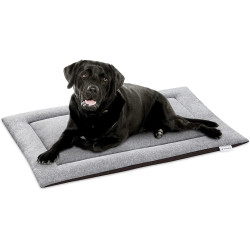 Navaris Travel Dog Bed - Μαξιλάρι / Κρεβάτι για Κατοικίδια - 63 x 40 cm - Grey (54008.22.2)