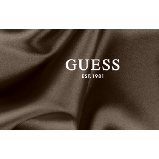 Guess Triangle Logo Phone Bag - Universal Θήκη Κινητών έως 6.7" - Light Blue (GUPBNTMLLB)