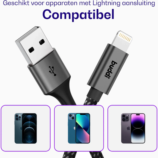 Καλώδιο USB-A Buddi Flex Φόρτισης & Μεταφοράς Δεδομένων σε Lightning 500cm 12W 5 Έτη Εγγύηση - Black (8719246550737)